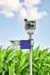 Lifestyle: METOS® Kamera CropVIEW Dual für Fernüberwachung auf Feld und im Stall
