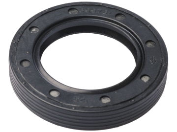 Briggs & Stratton Wellendichtring 43,0 x 25,4 für Quantum antriebsseitig 10, 11, 12, 399781S Briggs & Stratton Wellendichtring 43,0 x 25,4 für Quantum antriebsseitig 10, 11, 12, 399781S