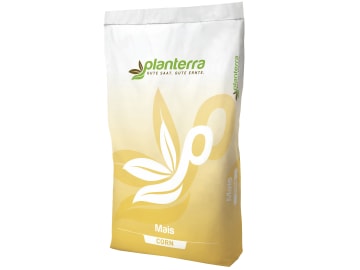 Mais-Saatgut Planterra Pragmat Sack E-Pura (ca. S220) Mais-Saatgut Planterra Pragmat Sack E-Pura (ca. S220)