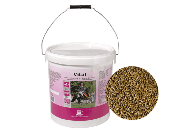 DERBY® Vital zur Unterstützung des Muskelaufbaus bei Sportpferden und der Fruchtbarkeit bei Zuchtpferden DERBY® Vital zur Unterstützung des Muskelaufbaus bei Sportpferden und der Fruchtbarkeit bei Zuchtpferden