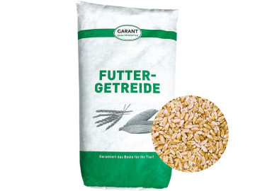 Weizen Ganzkorn ohne Gentechnik Futterweizen für Hühner, Kaninchen und Nager 30 kg Sack Weizen Ganzkorn ohne Gentechnik Futterweizen für Hühner, Kaninchen und Nager 30 kg Sack