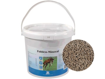 DERBY® Fohlen-Mineral Mineralfutter für Fohlen zur Vorbeugung ernährungsbedingter Entwicklungsstörungen 10 kg Eimer DERBY® Fohlen-Mineral Mineralfutter für Fohlen zur Vorbeugung ernährungsbedingter Entwicklungsstörungen 10 kg Eimer