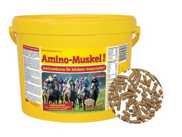 marstall® Amino-Muskel Plus zum Muskelaufbau für Pferde 9 kg Eimer marstall® Amino-Muskel Plus zum Muskelaufbau für Pferde 9 kg Eimer