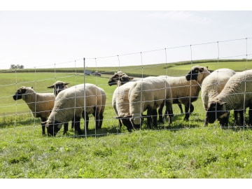 Ako Wolfszaun "WolfNet Vario" stromführend, mit Doppelspitze 108 cm/50 m, 27228 Ako Wolfszaun "WolfNet Vario" stromführend, mit Doppelspitze 108 cm/50 m, 27228