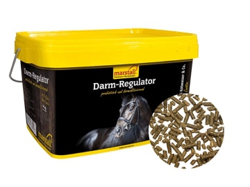 marstall® Darm-Regulator für Pferde mit Kotwasser, Darmproblemen oder nach Wurmkuren Pellet 3,5 kg Eimer marstall® Darm-Regulator für Pferde mit Kotwasser, Darmproblemen oder nach Wurmkuren Pellet 3,5 kg Eimer