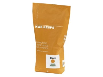 Mais-Saatgut KWS KEOPS S210; hartmaisähnlicher Zwischentyp (Silomais; Biogas); auch als Zweitfruchtmais nutzbar Mais-Saatgut KWS KEOPS S210; hartmaisähnlicher Zwischentyp (Silomais; Biogas); auch als Zweitfruchtmais nutzbar