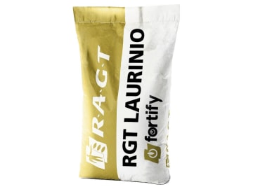 Mais-Saatgut RGT LAURINIO EH Redigo M + Korit + Fortify DS (Gold Edition) S220 K200; hartmaisähnlich (Silomais; Biogas; Körnermais); auch als Zweitfruchtmais nutzbar Mais-Saatgut RGT LAURINIO EH Redigo M + Korit + Fortify DS (Gold Edition) S220 K200; hartmaisähnlich (Silomais; Biogas; Körnermais); auch als Zweitfruchtmais nutzbar