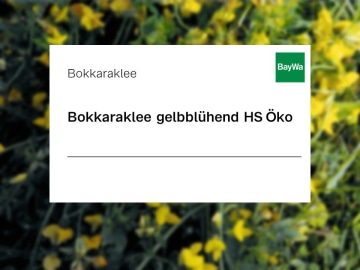 Bokharaklee Saatgut gelbblühend (tetraploid) HS Bio 25 kg Sack Bokharaklee Saatgut gelbblühend (tetraploid) HS Bio 25 kg Sack