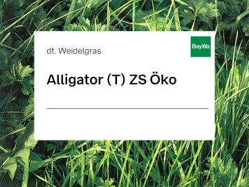 Deutsches Weidelgras Samen Alligator (tetraploid) ZS Bio 25 kg Sack Deutsches Weidelgras Samen Alligator (tetraploid) ZS Bio 25 kg Sack