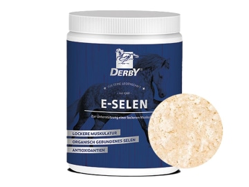 DERBY® E-Selen für Pferde zur Unterstützung des Muskelaufbaus und zur Regeneration nach Belastung DERBY® E-Selen für Pferde zur Unterstützung des Muskelaufbaus und zur Regeneration nach Belastung