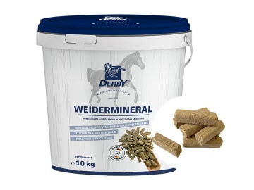 DERBY® Weidemineral Mineralfutter für Pferde, schmackhaftes Ergänzungs- und Anlockfutter für Weidepferde 10 kg Eimer DERBY® Weidemineral Mineralfutter für Pferde, schmackhaftes Ergänzungs- und Anlockfutter für Weidepferde 10 kg Eimer