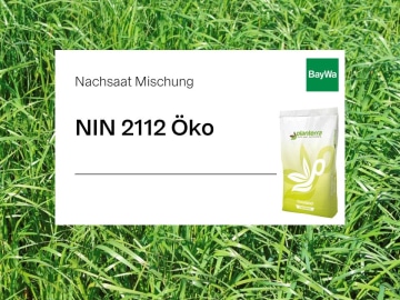 Planterra Nachsaat NIN 2112 Öko leistungsstarke Weidelgrasmischung ohne Klee für intensive Nutzung und bester Silagequalität/ Grundfutterqualität Planterra Nachsaat NIN 2112 Öko leistungsstarke Weidelgrasmischung ohne Klee für intensive Nutzung und bester Silagequalität/ Grundfutterqualität