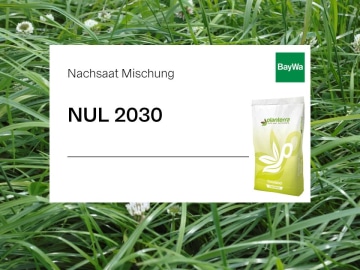 Planterra Nachsaat NUL 2030 für ungünstige Lagen mit guter Gülleverträglichkeit und Winterhärte, Schschnittnutzung und Weidenutzung Planterra Nachsaat NUL 2030 für ungünstige Lagen mit guter Gülleverträglichkeit und Winterhärte, Schschnittnutzung und Weidenutzung