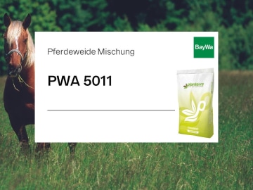 Planterra Pferdeweide PWK 5011 gesunde Mischung mit Kräuter, wohlschmeckend für eine dichte Grasnarbe und Abwechslung Planterra Pferdeweide PWK 5011 gesunde Mischung mit Kräuter, wohlschmeckend für eine dichte Grasnarbe und Abwechslung