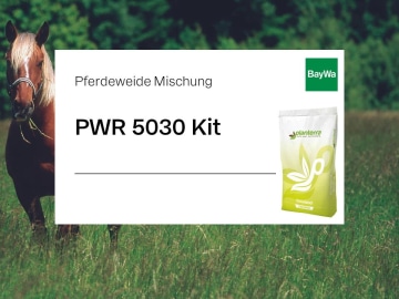 Planterra Pferdeweide PWR 5030 Kit optimale Reparatur mit Maxistart und zügiger Jugendentwicklung 5 kg Karton Planterra Pferdeweide PWR 5030 Kit optimale Reparatur mit Maxistart und zügiger Jugendentwicklung 5 kg Karton