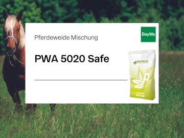 Planterra Pferdeweide PWS 5020 Safe für Neuansaat und Nachsaat geeignet mit bester Schmackhaftigkeit für stark beanspruchte, hufrehanfällige Weiden Planterra Pferdeweide PWS 5020 Safe für Neuansaat und Nachsaat geeignet mit bester Schmackhaftigkeit für stark beanspruchte, hufrehanfällige Weiden