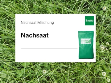 GreenTrip Nachsaat mit Klee für intensive Nutzung und deutschen Weidelgräsern 10 kg Sack GreenTrip Nachsaat mit Klee für intensive Nutzung und deutschen Weidelgräsern 10 kg Sack