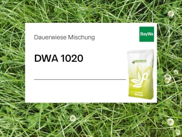 Planterra Dauerwiese DWA 1020 für schwierige Standorte zur besten Futterqualität, Schnitt- und Weidenutzung Planterra Dauerwiese DWA 1020 für schwierige Standorte zur besten Futterqualität, Schnitt- und Weidenutzung