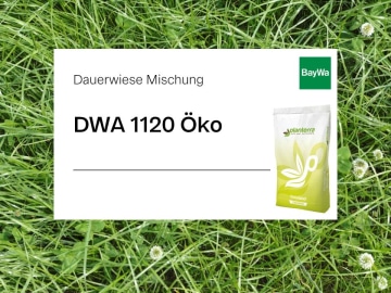Planterra Dauerwiese DWA 1120 Öko universal für alle Lagen mit artenreicher Zusammensetzung und sehr guter Narbendichte Planterra Dauerwiese DWA 1120 Öko universal für alle Lagen mit artenreicher Zusammensetzung und sehr guter Narbendichte