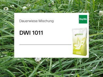 Planterra Dauerwiese DWI 1011 für intensive Lagen mit mittleren und späten Weidelgräsern für höchste Futterqualität Planterra Dauerwiese DWI 1011 für intensive Lagen mit mittleren und späten Weidelgräsern für höchste Futterqualität