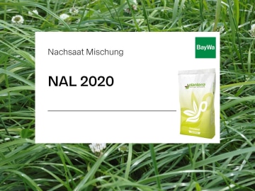 Planterra Nachsaat NAL 2020 auch für trockene Lagen, universell einsetzbar, hoher Eiweißgehalt und gute Schmackhaftigkeit Planterra Nachsaat NAL 2020 auch für trockene Lagen, universell einsetzbar, hoher Eiweißgehalt und gute Schmackhaftigkeit