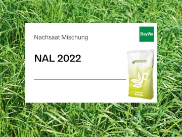 Planterra Nachsaat NAL 2022 ohne Klee für alle Lagen geeignet, besonders gut für höher gelegene Standorte und Mittelgebirgslagen Planterra Nachsaat NAL 2022 ohne Klee für alle Lagen geeignet, besonders gut für höher gelegene Standorte und Mittelgebirgslagen