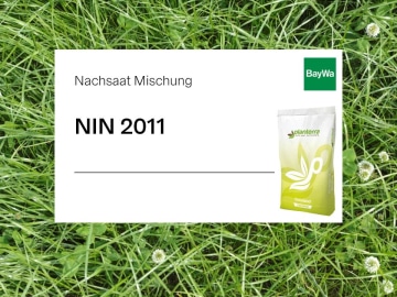 Planterra Nachsaat NIN 2011 leistungsstarke Weidelgrasmischung mit Weißklee für intensive Nutzung und schneller Jugendentwicklung Planterra Nachsaat NIN 2011 leistungsstarke Weidelgrasmischung mit Weißklee für intensive Nutzung und schneller Jugendentwicklung