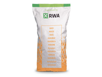 Mais-Saatgut RWA GL Primavera ca. S240 ca. K240; hartmaisähnlich (Silomais; Biogas; Körnermais); auch als Zweitfruchtmais nutzbar Mais-Saatgut RWA GL Primavera ca. S240 ca. K240; hartmaisähnlich (Silomais; Biogas; Körnermais); auch als Zweitfruchtmais nutzbar
