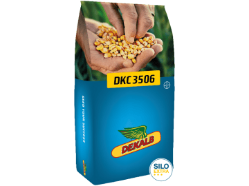 Mais-Saatgut Dekalb DKC 3506 S250 K260; hartmaisähnlich (Silomais; Biogas; Körnermais) Mais-Saatgut Dekalb DKC 3506 S250 K260; hartmaisähnlich (Silomais; Biogas; Körnermais)