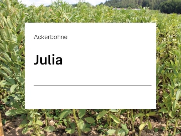 Ackerbohne Julia ZS standfeste Sorte für eine gute Futterqualität 30 kg Sack Ackerbohne Julia ZS standfeste Sorte für eine gute Futterqualität 30 kg Sack