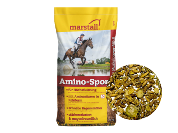 marstall® Amino-Sport Müsli für Sportferde zur Unterstützung von Leistung, Muskelaufbau und Regeneration marstall® Amino-Sport Müsli für Sportferde zur Unterstützung von Leistung, Muskelaufbau und Regeneration