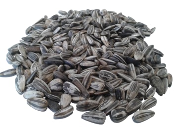 Sonnenblumenkerne für Futterzwecke gestreift Vogelfutter Ganzjahresfutter 25 kg Sack Sonnenblumenkerne für Futterzwecke gestreift Vogelfutter Ganzjahresfutter 25 kg Sack