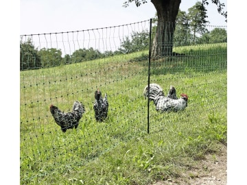 Ako Geflügelzaun "PoultryNet" 112 cm/25 m, grün, stromführend, mit Doppelspitze, 292214 Ako Geflügelzaun "PoultryNet" 112 cm/25 m, grün, stromführend, mit Doppelspitze, 292214