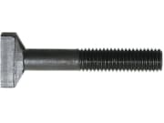 Rau Hammerkopfschraube mit Sicherungsmutter M 10 x 65, RG00031301 für Befestigung Rotorzinken Rau Hammerkopfschraube mit Sicherungsmutter M 10 x 65, RG00031301 für Befestigung Rotorzinken