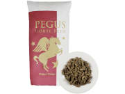 Pegus Power Cobs Maiscobs aus der ganzen Pflanze für Pferde 20 kg Sack Pegus Power Cobs Maiscobs aus der ganzen Pflanze für Pferde 20 kg Sack