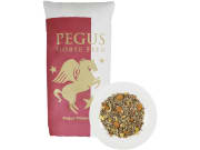 Pegus Power Müsli haferfreies Pferdefutter für Sportpferde 20 kg Sack Pegus Power Müsli haferfreies Pferdefutter für Sportpferde 20 kg Sack