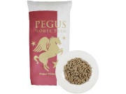 Pegus Power Pellet haferfreies Pferdefutter für Sportpferde im XXL Format 30 kg Sack Pegus Power Pellet haferfreies Pferdefutter für Sportpferde im XXL Format 30 kg Sack