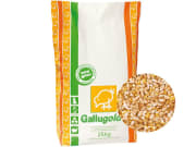 Gallugold® Geflügelkörner-Mix ohne Gentechnik Hühnerfutter 25 kg Sack Gallugold® Geflügelkörner-Mix ohne Gentechnik Hühnerfutter 25 kg Sack