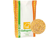 Gallugold® Legemehl S Hühnerfutter 25 kg Sack Gallugold® Legemehl S Hühnerfutter 25 kg Sack