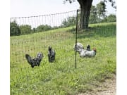 Geflügelzaun "PoultryNet" grün, stromführend, mit Doppelspitze 112 cm/50 m, 292220 Geflügelzaun "PoultryNet" grün, stromführend, mit Doppelspitze 112 cm/50 m, 292220
