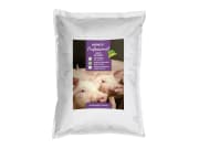 BioAktiv® Professional Salis Schwein Schweinefutter 25 kg Beutel BioAktiv® Professional Salis Schwein Schweinefutter 25 kg Beutel