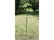 PlantaGard® Wild- und Fegeschutzspirale 90 x 7,5 cm PlantaGard® Wild- und Fegeschutzspirale 90 x 7,5 cm