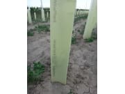 WitaPlant MV® Rebschutzsäule transparent 60 cm WitaPlant MV® Rebschutzsäule transparent 60 cm