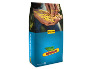 Saatmais DKC 3450 EH Sack Standard Saatmais DKC 3450 EH Sack Standard