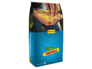 Saatmais DKC 3575 EH Sack Acceleron Standard Saatmais DKC 3575 EH Sack Acceleron Standard
