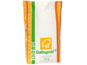 Gallugold® Junghennenmehl P Hühnerfutter 25 kg Sack Gallugold® Junghennenmehl P Hühnerfutter 25 kg Sack