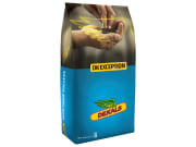 Winterraps DK Exception Acceleron Standard Winterraps DK Exception Acceleron Standard
