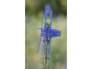 PlantaGard® Verbissschutzmanschette "Cactus", blau, 100 St. PlantaGard® Verbissschutzmanschette "Cactus", blau, 100 St.