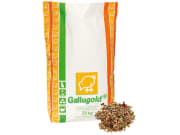 Gallugold® Tauben Vital Taubenfutter 25 kg Sack Gallugold® Tauben Vital Taubenfutter 25 kg Sack