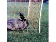 Patura Wildzaun 65 cm x 50 m Patura Wildzaun 65 cm x 50 m